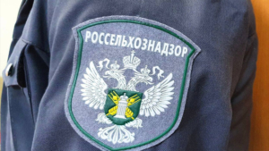 Свалку почти в 600 «квадратов» ликвидировали в Михайловском округе - gtrkamur.ru