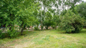 Благовещенцы выберут еще одну территорию для благоустройства - gtrkamur.ru