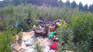 Несанкционированную свалку площадью почти 900 «квадратов» выявили в Примурье - gtrkamur.ru