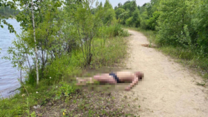 Мужчина утонул на водоеме в Райчихинске - gtrkamur.ru