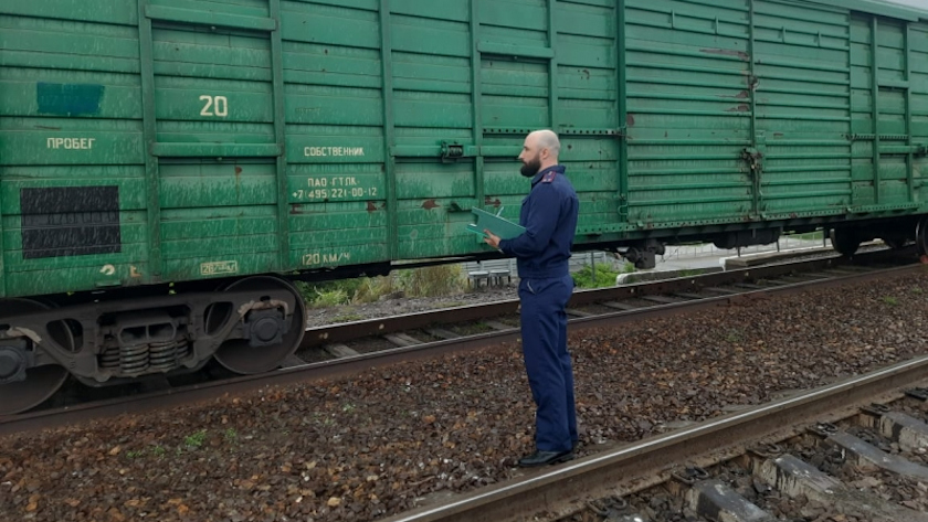 Подростка ударило током на железной дороге в Приморье - gtrkamur.ru