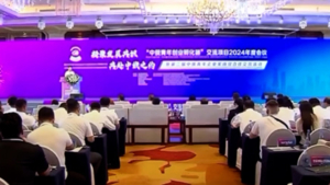 Российско-китайский бизнес-инкубатор создадут в Благовещенске и Хэйхэ - gtrkamur.ru