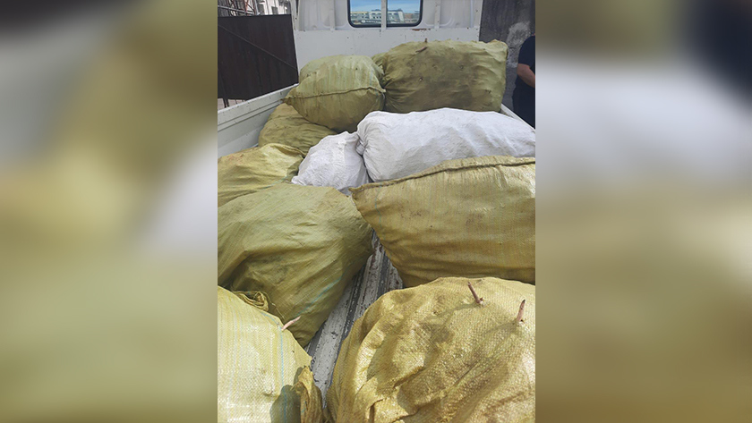 Более 600 килограммов корней краснокнижного растения изъяли у браконьеров в Приамурье - gtrkamur.ru