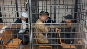 Полтора десятка нелегальных мигрантов выявили в Селемджинском районе - gtrkamur.ru