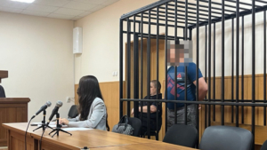 Четыре амурчанина оказались под стражей из-за рубки деревьев - gtrkamur.ru