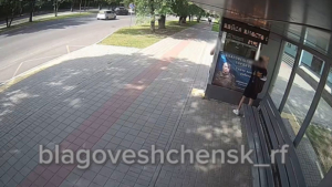 Двоих благовещенцев оштрафовали на 90 тысяч рублей за порчу городского имущества - gtrkamur.ru