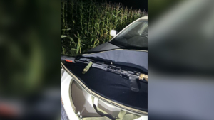 Двух мужчин с карабином задержали на кукурузном поле в Октябрьском районе - gtrkamur.ru