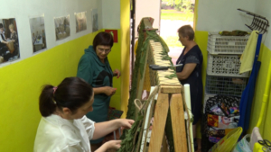 Благовещенцы пожаловались на волонтеров СВО, занявших помещение в многоэтажке - gtrkamur.ru