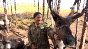 Простое счастье: амурский оленевод уже 40 лет почти не покидает тайгу - gtrkamur.ru