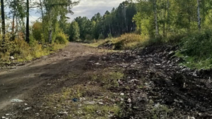 Мусорную свалку ликвидировали в Сковородинском округе - gtrkamur.ru