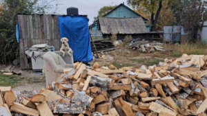 Двум семьям участников СВО амурские общественники помогли подготовиться к зиме - gtrkamur.ru