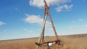 В трех заказниках Амурской области обновят «жилой фонд» аистов - gtrkamur.ru
