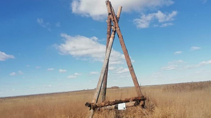 В трех заказниках Амурской области обновят «жилой фонд» аистов - gtrkamur.ru
