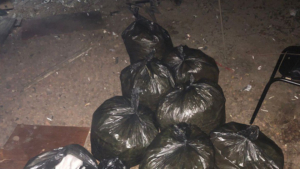 В Благовещенске на чердаке нашли 13 килограммов наркотика - gtrkamur.ru