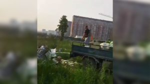 Жительница Благовещенска устроила свалку на чужом участке - gtrkamur.ru