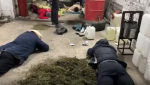 Три килограмма гашишного масла подвели под статью троих жителей Приамурья - gtrkamur.ru