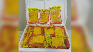 Более 15 килограммов животноводческой продукции изъяли у туристов на таможне в Благовещенске  - gtrkamur.ru