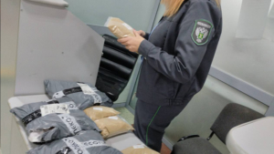 Почти 20 килограммов корма для рыб без документов не пустили из Китая в Приамурье - gtrkamur.ru