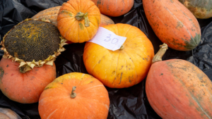 Куда сообщить о случаях нелегальной торговли рассказали благовещенцам - gtrkamur.ru