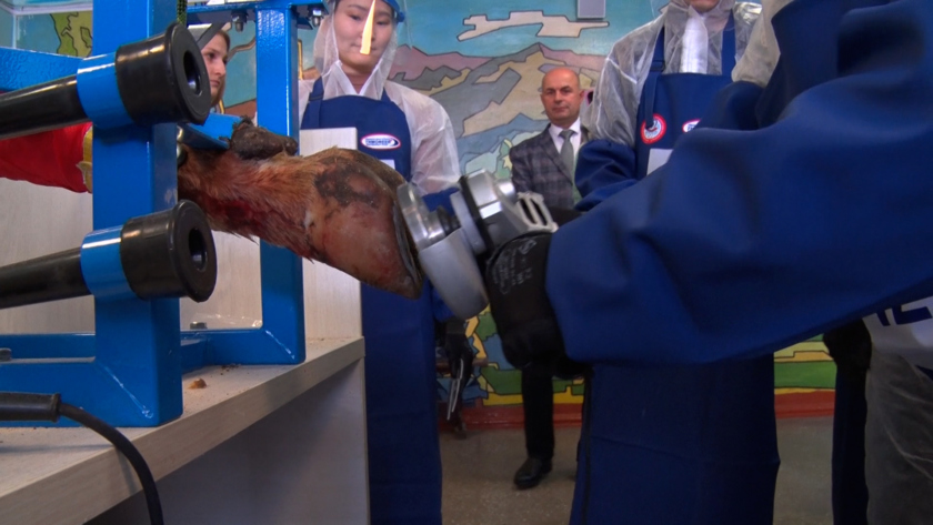 Практический семинар для ветеринаров-ортопедов провели в Благовещенске - gtrkamur.ru