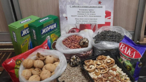 Больше 300 килограммов корма для птиц собрали благовещенские школьники - gtrkamur.ru