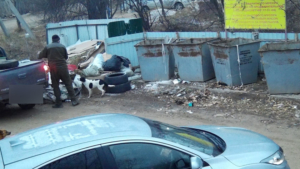 Благовещенца оштрафовали за выброс автопокрышек в неположенном месте - gtrkamur.ru