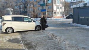 Благовещенцы пожаловались на разбитую дорогу к поликлинике - gtrkamur.ru