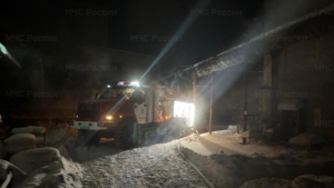 Огнеборцы трижды выезжали на пожары в Приамурье накануне - gtrkamur.ru
