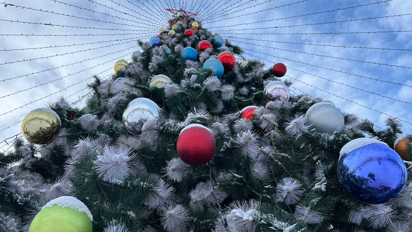 Новогодняя ель в Белогорске в начале февраля уйдет на каникулы - gtrkamur.ru