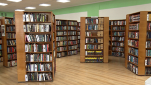 Поделиться книгами призывают благовещенцев - gtrkamur.ru