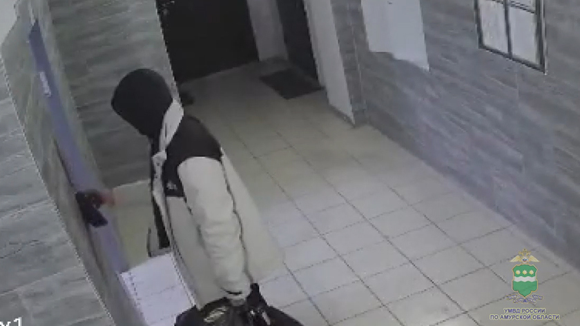 Романтик из Благовещенска ограбил свою спутницу на первом свидании - gtrkamur.ru