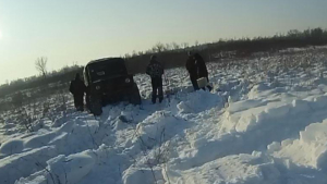 За браконьерскую охоту в заказнике ответят перед законом четверо амурчан - gtrkamur.ru