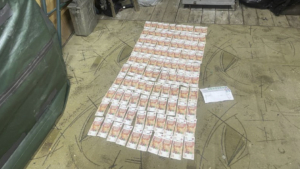 В Зейском округе за получение полумиллионной взятки задержан участковый лесничий - gtrkamur.ru