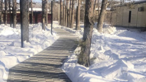 В Циолковском прокурорский надзор вернул порядок в сквер “Мира и Дружбы” - gtrkamur.ru