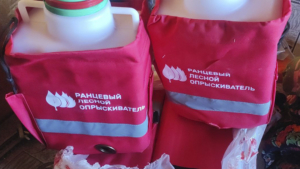 В Приамурье начали проверять готовность арендаторов лесных участков к тушению природных пожаров - gtrkamur.ru