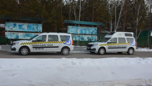 И в больницу, и в магазин: свыше шести тысяч поездок совершили амурчане на соцтакси в 2024 году - gtrkamur.ru