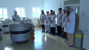Профориентационное занятие провели для будущих амурских селекционеров - gtrkamur.ru