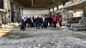В Приамурье четвероногие спасатели вместе с волонтерами учились искать пропавших - gtrkamur.ru