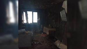 В селе Болдыревка Завитинского округа во время пожара чудом остались живы мать и двое детей - gtrkamur.ru