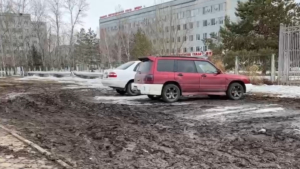 В Благовещенске борются с автомобилистами, паркующимися на газоне - gtrkamur.ru