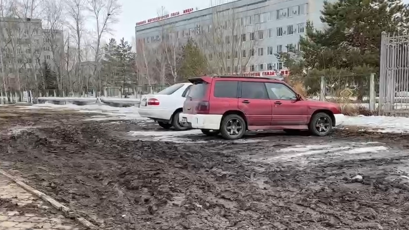 В Благовещенске борются с автомобилистами, паркующимися на газоне - gtrkamur.ru