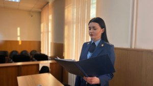 Суд вынес приговор благовещенке, которая села за руль пьяной и сбила пешехода - gtrkamur.ru