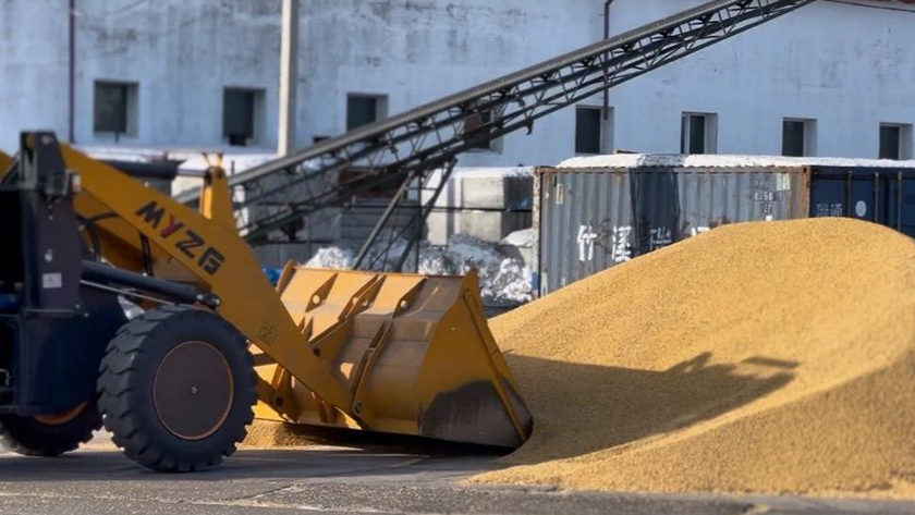 Более 3,6 тысяч фитосанитарных сертификатов оформили экспортеры Приамурья - gtrkamur.ru