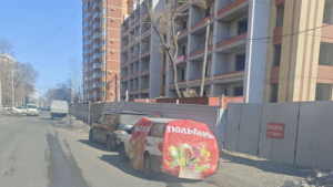 Более 30 протоколов составили на нелегальных торговцев цветами в Благовещенске - gtrkamur.ru