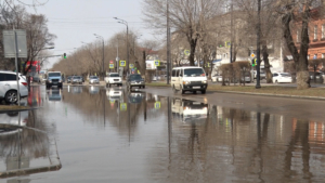 Облачно и дождливо: прогноз погоды на 24 апреля в Приамурье - gtrkamur.ru
