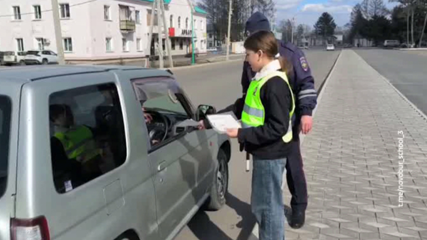 О важности соблюдения ПДД водителям и пешеходам напомнили амурские активисты «Движения Первых» - gtrkamur.ru