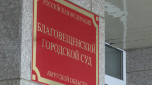В Приамурье осудили владелицу детского сада за хищение бюджетных средств - gtrkamur.ru