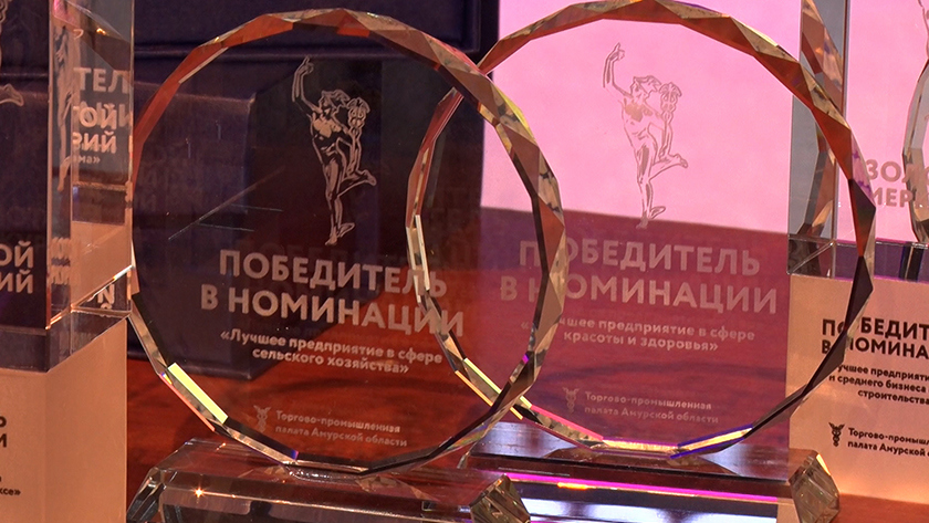 В амурской столице определили лауреатов регионального этапа национальной премии «Золотой Меркурий» - gtrkamur.ru