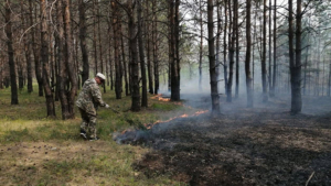 В Приамурье подвели итоги весеннего периода природных пожаров - gtrkamur.ru