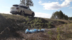 Уголовная ответственность грозит амурчанину за незаконно выкопанные деревья - gtrkamur.ru